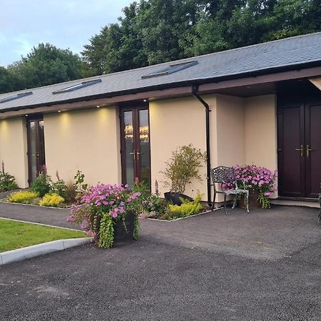 The Old Mountain Stables Caerllwyn Ganol Farm Apartment Newport  Exterior foto